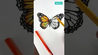 Apsara Colour Pencils | Hyperealistic Butterfly Art