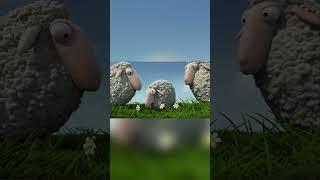 Sheep Grazing #FunAndLearningForKids #KidsCartoonFun #FamilyFriendlyContent