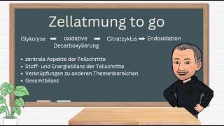 Zellatmung to go - eine kurze zusammenfassende Darstellung der vier Teilprozesse