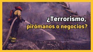 ¿Por qué incendian Quito? | Crónica del incendio de Guápulo | BN Periodismo | Noticias Ecuador