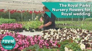 The Royal Parks Nursery flowers for Prince Harry and Meghan Markle