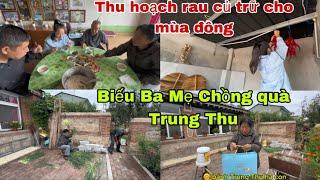 #482Thu Hoạch xong rau củ Trữ Cho Mùa Đông,Dâu Việt sang Nhà biếu Ba Mẹ Chồng quà Trung Thu