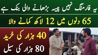 Start Your business from 40,000|Income 80,000|Asad Abbas chishti