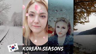 [K-influecer 2021]  Season in Korea | Expectations vs. Reality