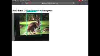 Custom real-time object detection in the browser