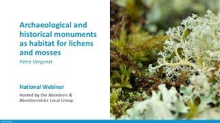 Archaeological and historical monuments as habitat for lichens and mosses