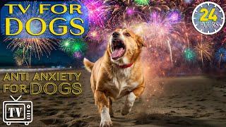 [LIVE] Dog TV: Relaxing Music for Dogs to Calm From Fireworks, Loud Noises & Anti-Anxiety of Dogs