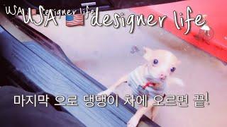 미국  사는 디자이너/ 샌프란시스코 패션 트레이드 쇼/San Francisco fashion trade show