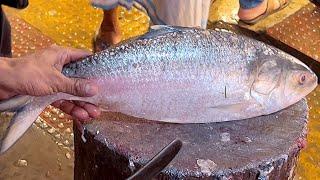 Delicious Big Hilsa & Rohu Fish Cutting Skills In Fish Market | Fish Cutting Skills