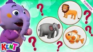 Bilin bakalım hayvanlar nereye ait? | Çocuklar Için Eğitici Videolar | Kent The Elephant Turkish
