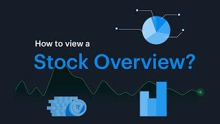 Tickertape Guide - How to see Stock Overview