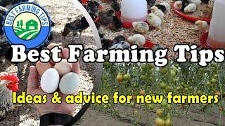 Best Farming Tips: Ideas & advice for new farmers / beginning farmers