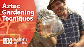 Aztec gardening techniques | Growing fruit and veg | Gardening Australia