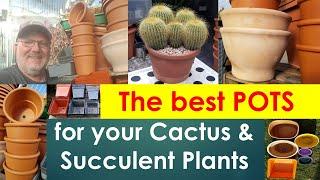 How to choose the best plant pots for your cactus & succulent collection #cactuscare #succulentscare