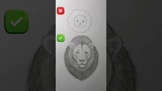 An easy method to draw lions || lion drawing easy ️ #drawingtutorial #pencildrawing #sketch