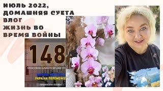 Июльская суета 2022  Жизнь во время войны