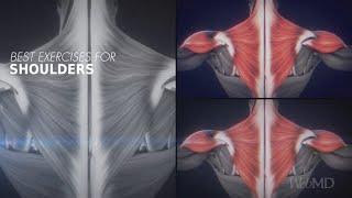 The Best Exercises for Your Shoulders | WebMD