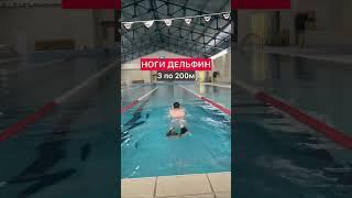 ДЕНЬ 3/30, 2 км плавание на ногах