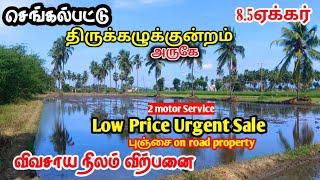 Tirukazhukundram Farmland For Sale||Agriculture Land||Chengalpattu