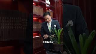 整治不正之风，剧情演绎，无不良引导，请理性观看