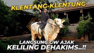 BEGINI REAKSI KLENTANG-KLENTUNG BARU DATENG LANGSUNG GUE NAEKIN KELILING DEHAKIMS..!