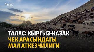 Талас: кыргыз-казак чек арасындагы мал аткезчилиги