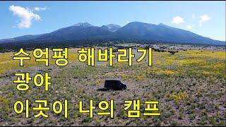 끝이 보이지 않는 해바라기밭. Sun flower field