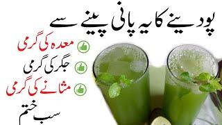 Mint Drink Benefits in Summar | Pudina Lemon and Chia Seeds Drink