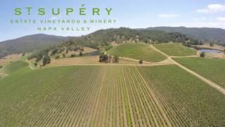 St. Supery Vineyards & Winery, Napa Valley. USA Vineyards and drone