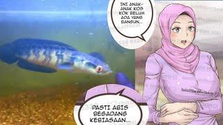 KOMIK MADLOKI IBU KOS PART1 || Channa Red Barito Super Red