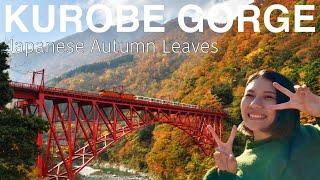 TOYAMA The beautiful autumn leaves in Kurobe Gorge Japan Travel Vlog