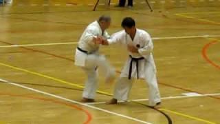 Okinawa Gojuryu Bujutsu 1