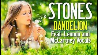 The Rolling Stones - Dandelion - Lennon & McCartney Vocals