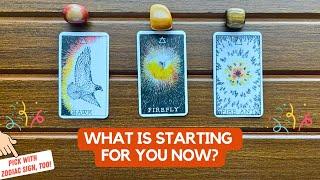 🪄What Is Starting For You Now? | Timeless Reading