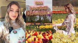 Q&A | ვპასუხობ შეკითხვებს | Tulip farm ͙֒