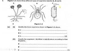 2024 Biology Paper 2 Exam Revision Jam start