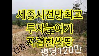 세종시장군면금암리이보다싼땅없다평당120만원추천드립니다전원주택부지