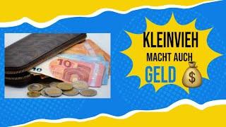 Kleinigkeiten, die viel Geld sparen