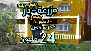 مزرعة 2573 متر مجهزة بالمنزل 180متر كتبع بالفرش + 3 كوريات + دار جديدة محفظة 24 مليون