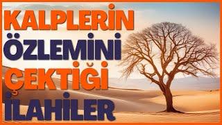 KALPLERİ COŞTURAN HARİKA İLAHİLER - VARSAM HİCÂZ İLLERİNE DÜŞSEM KA’BE YOLLARINA