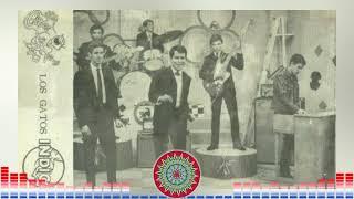 Los Gatos de Costa Rica / Música De Tiquicia