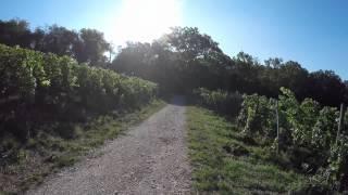 STREET VIEW: Das Weingut Vollmayer in Hilzingen am Hohentwiel in GERMANY