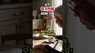 뇌가 죽기 직전에 보내는 마지막 경고 TOP5 #도파민브레이크 #인생PT #지혜 #명언 #두뇌활성화