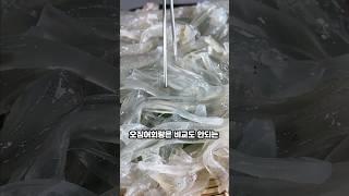 제주 여행 제철 맞은 제주 한치회 맛집 추천!!