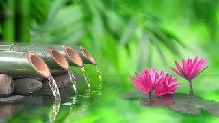 Spa Music Relaxing Music Sleep Music Meditation Music เพลงสปา เพลงผ่อนคลาย ไทยมาสสาจ เพลงบรรเลง