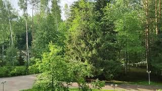 22.06.2025 Утро в санатории Балкыш Казань поселок Петровский #звукиприроды