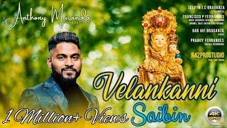 Velankanni Saibin by Anthony Miranda Production || Please Play On YouTube App To Support Uploaders||