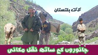 Nomadic Lifestyle in Gilgit Baltistan || Peaceful and Natural Village Life