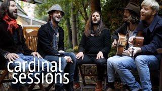 The Temperance Movement - Chinese Lanterns - CARDINAL SESSIONS