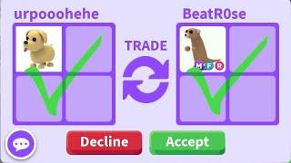 I traded from dog to Mega Meerkat! Roblox Adopt Me